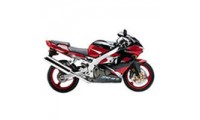 Best 2000-2001 Kawasaki ZX9R Fairings