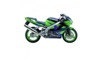 Best 2002-2003 Kawasaki ZX9R Fairings
