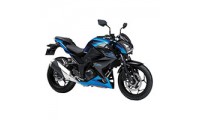 Best 2015-2016 Kawasaki Z250/Z300 Fairings