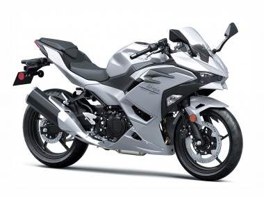 Best 2024-2025 Kawasaki Ninja 500 EX500R Motorcycle Fairings - Metallic Silver Ninja