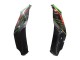 2021-2025 Kawasaki ZX10R Motorcycle Fairings - Green Black Red