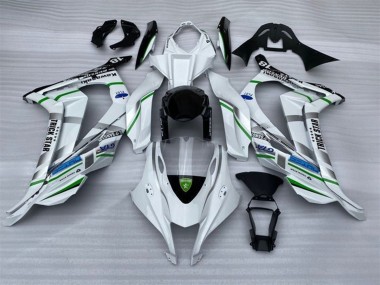 Best 2016-2020 Kawasaki ZX10R Motorcycle Fairings - White Silver Green Blue Black Trick Star