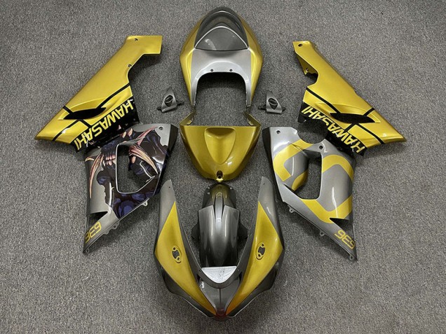 05-06 Gold and Silver ZX6R Fairings 05-06 Gold and Silver ZX6R Fairings